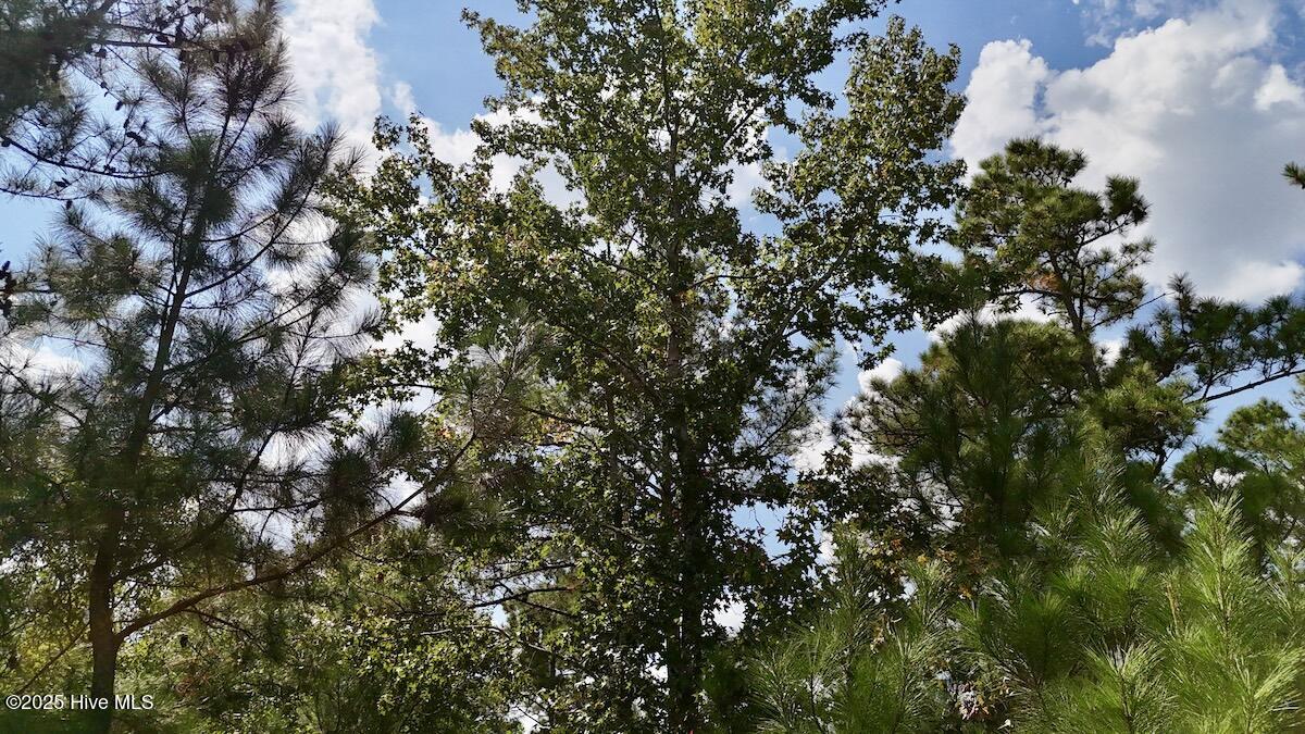 00 7th Street Property Photo 18