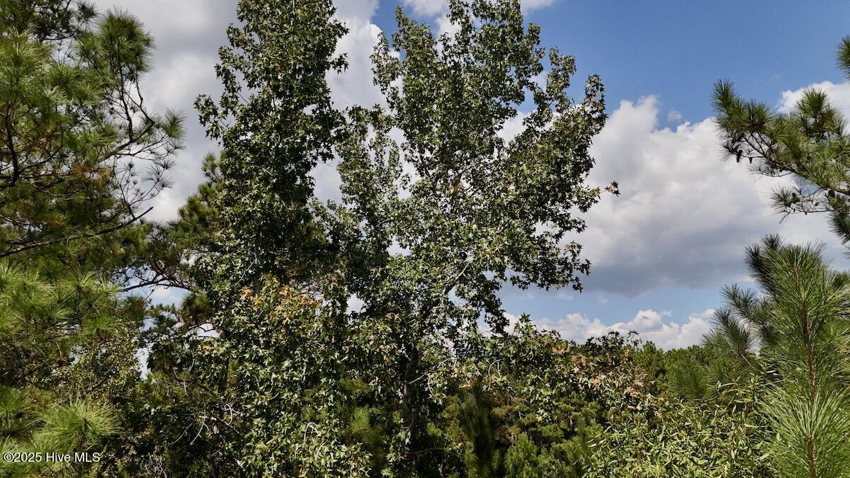 00 7th Street Property Photo 19