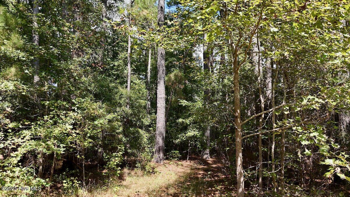 00 7th Street Property Photo 20