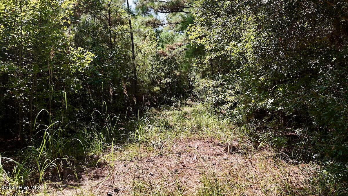 00 7th Street Property Photo 21