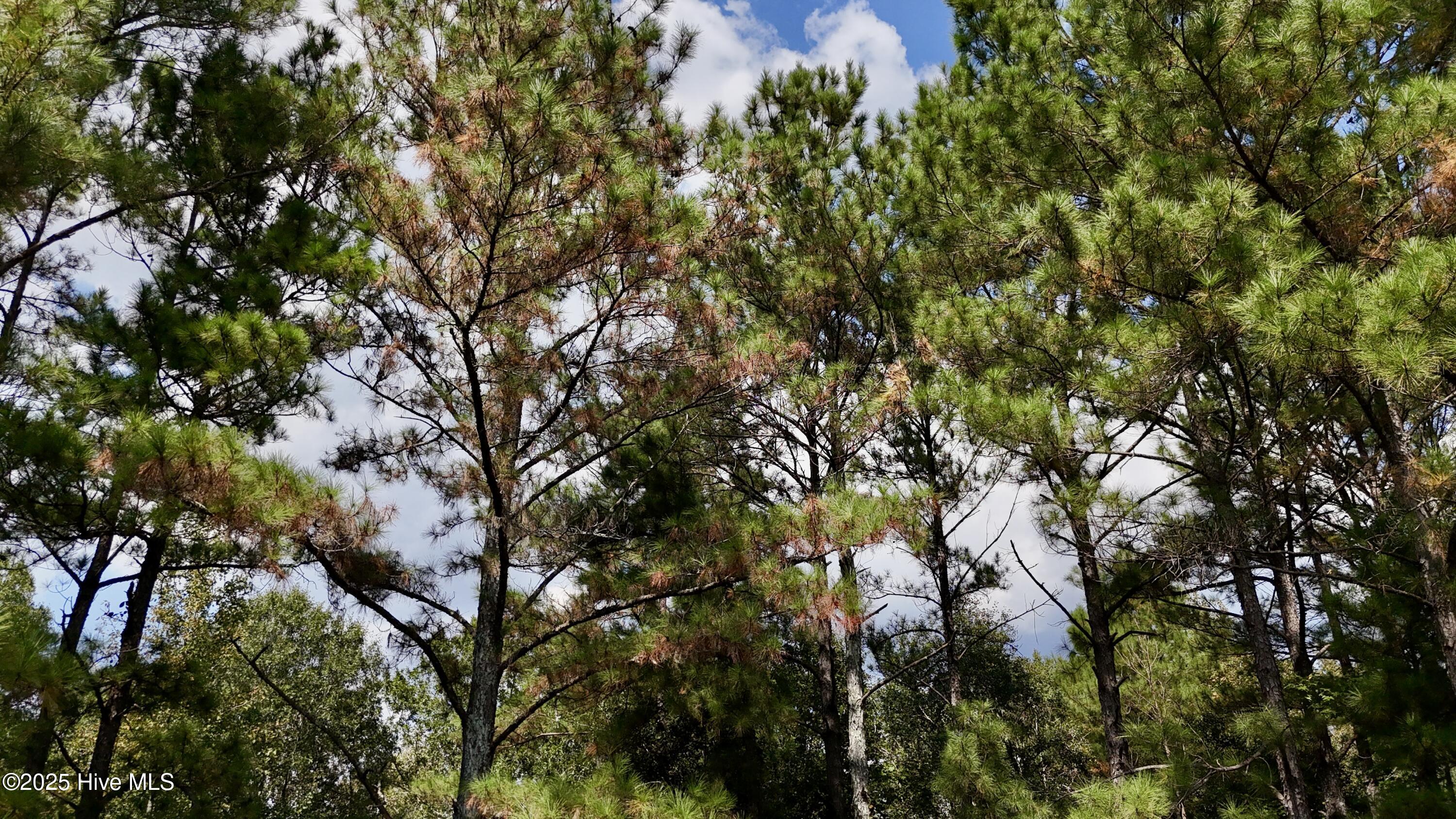 00 7th Street Property Photo 24