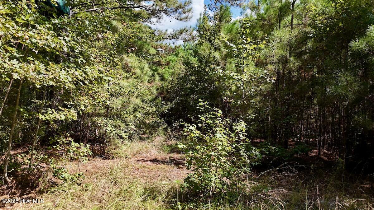 00 7th Street Property Photo 25