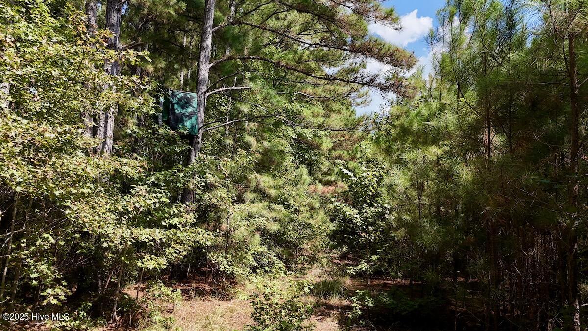 00 7th Street Property Photo 28