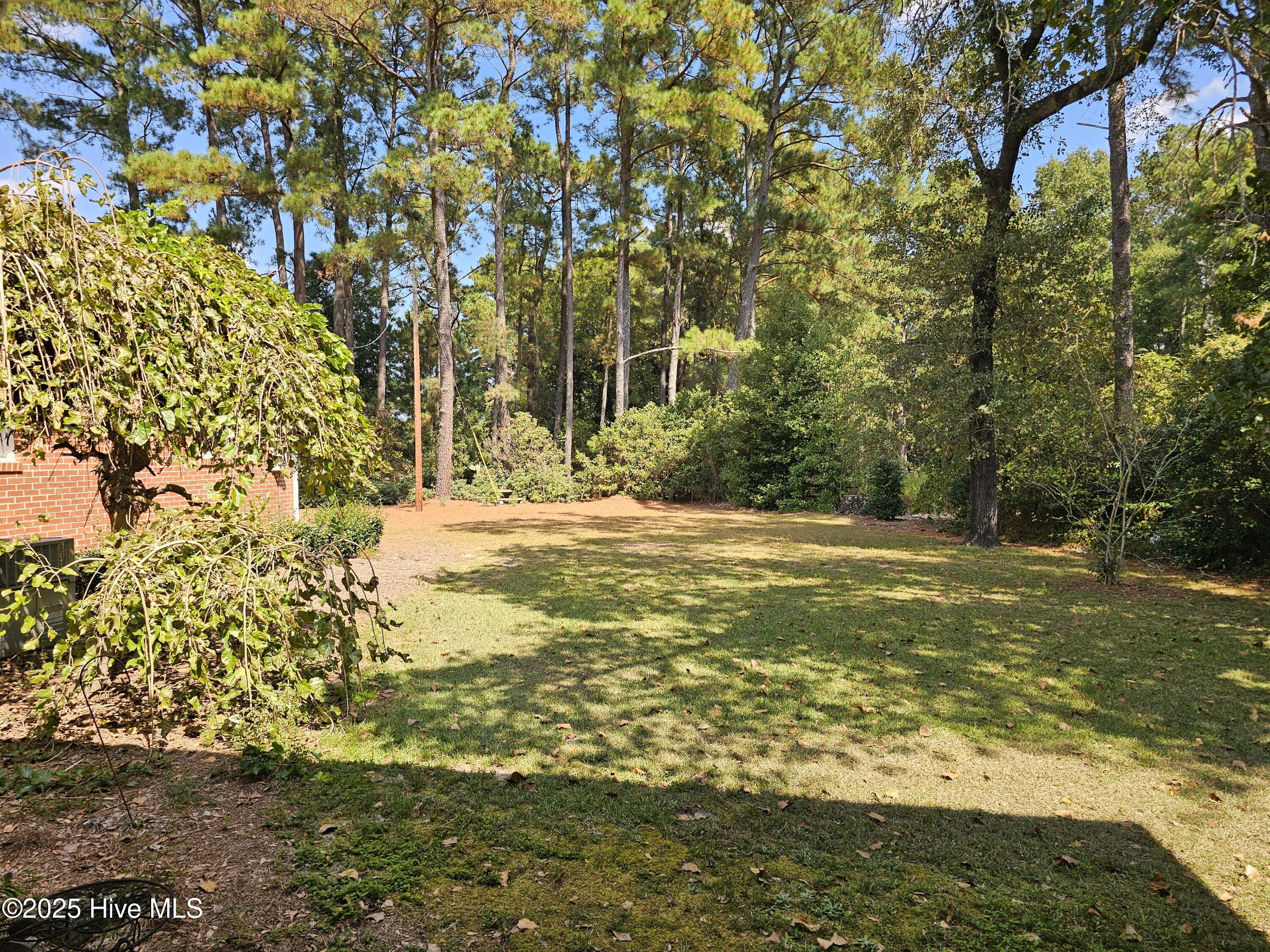 9506 Dunn Road Property Photo 20