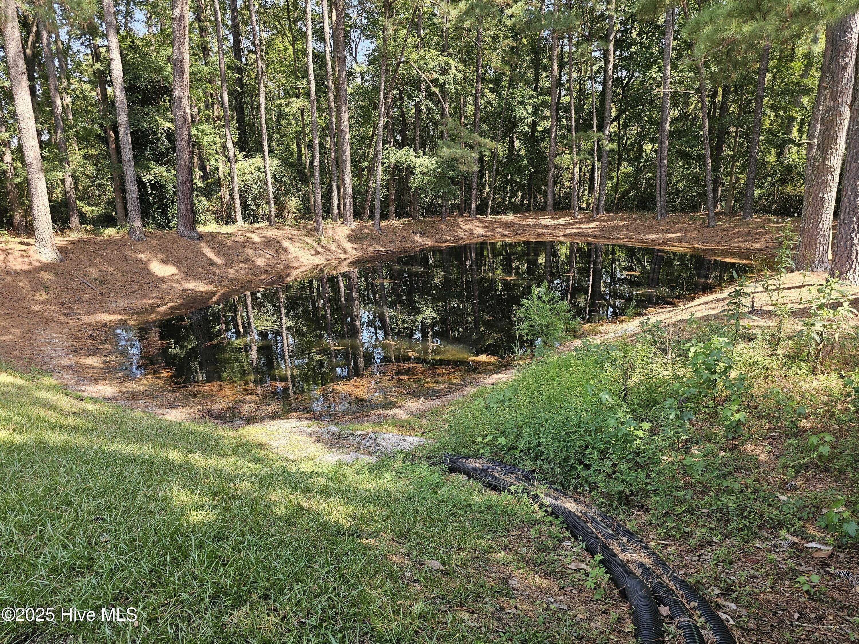 9506 Dunn Road Property Photo 33