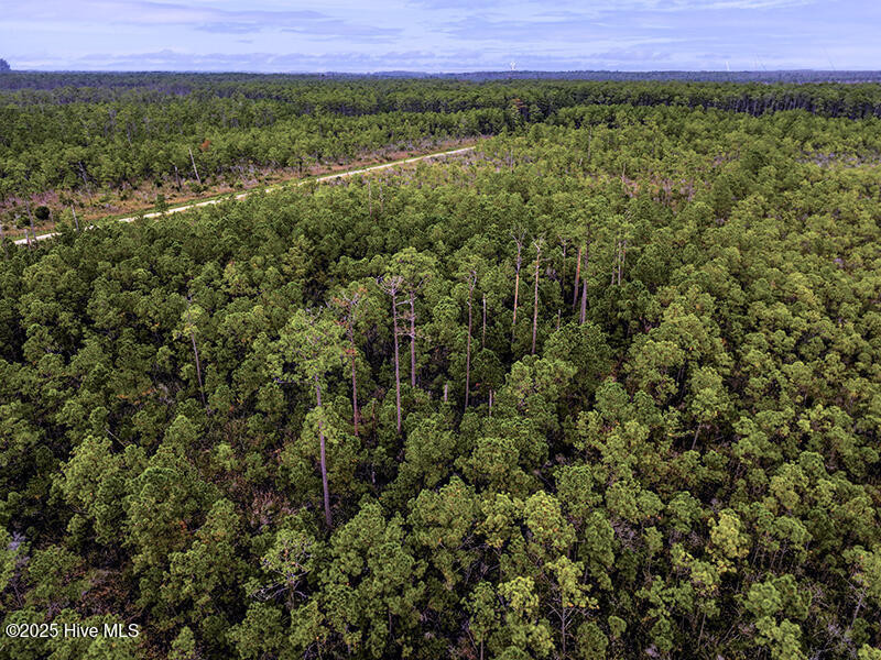 0 Middle Bay Road Road Property Photo 2