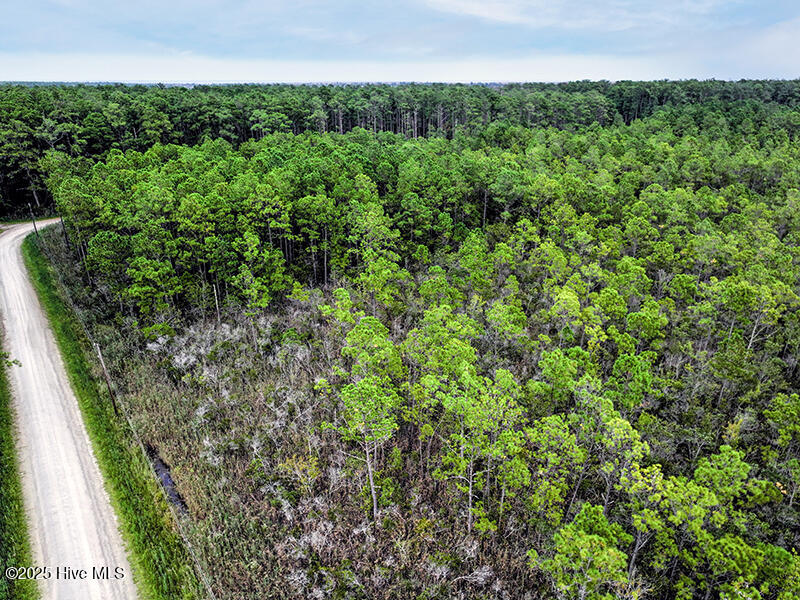 0 Middle Bay Road Road Property Photo 7