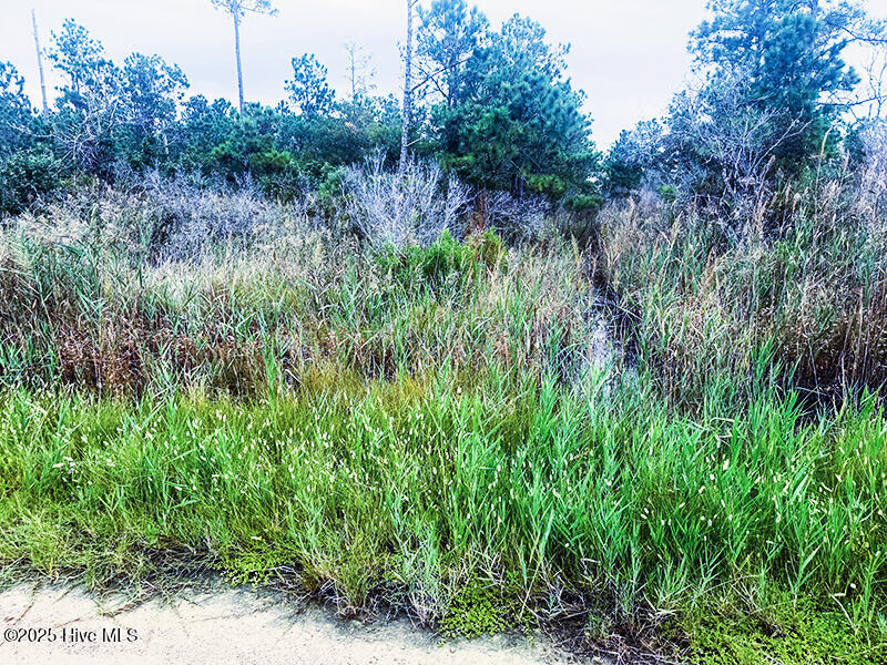 0 Middle Bay Road Road Property Photo 8