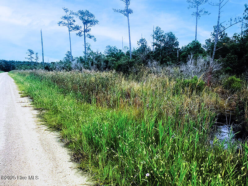 0 Middle Bay Road Road Property Photo 9