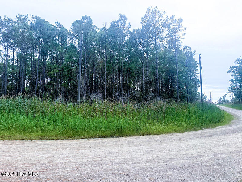 0 Middle Bay Road Road Property Photo 10