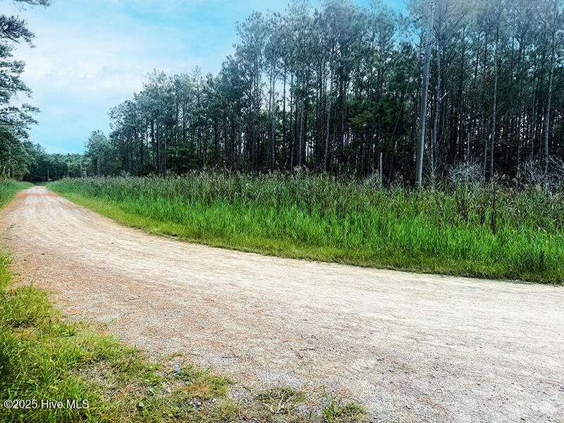 0 Middle Bay Road Road Property Photo 11