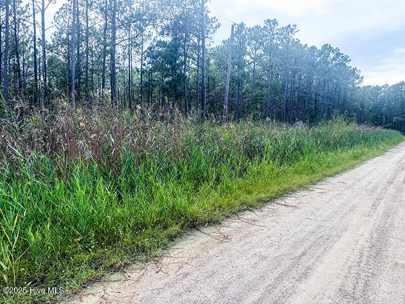 0 Middle Bay Road Road Property Photo 12