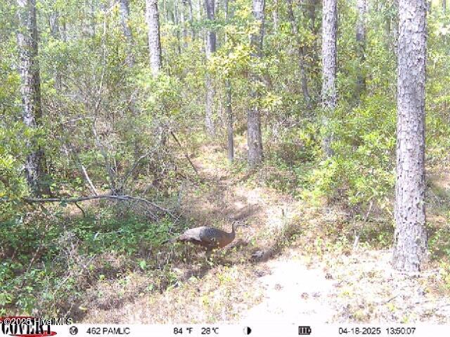 0 Middle Bay Road Road Property Photo 14