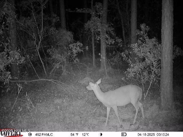 0 Middle Bay Road Road Property Photo 15