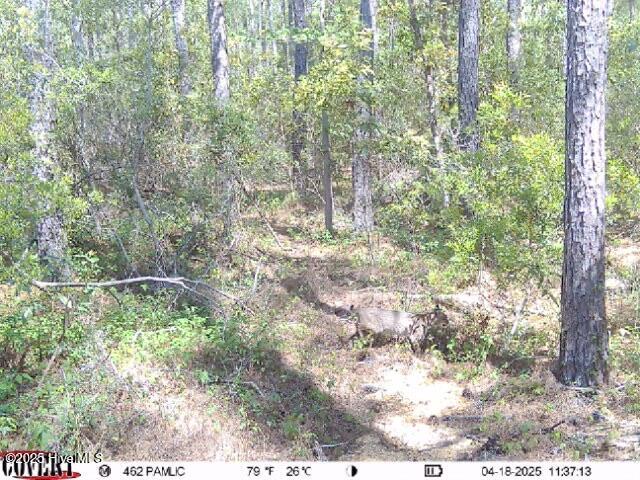 0 Middle Bay Road Road Property Photo 16