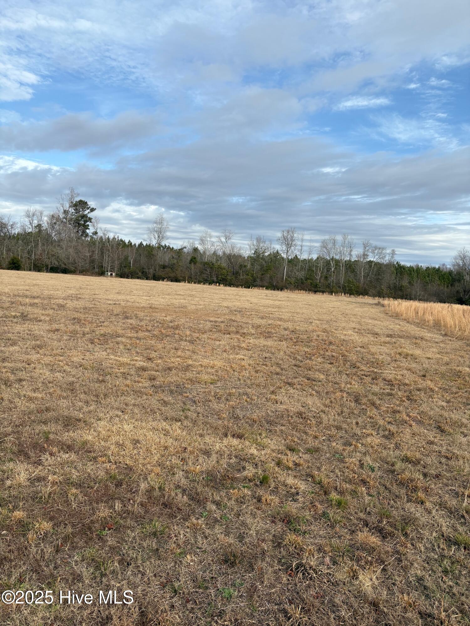 Tbd Near 455 Dothan Road Property Photo 1