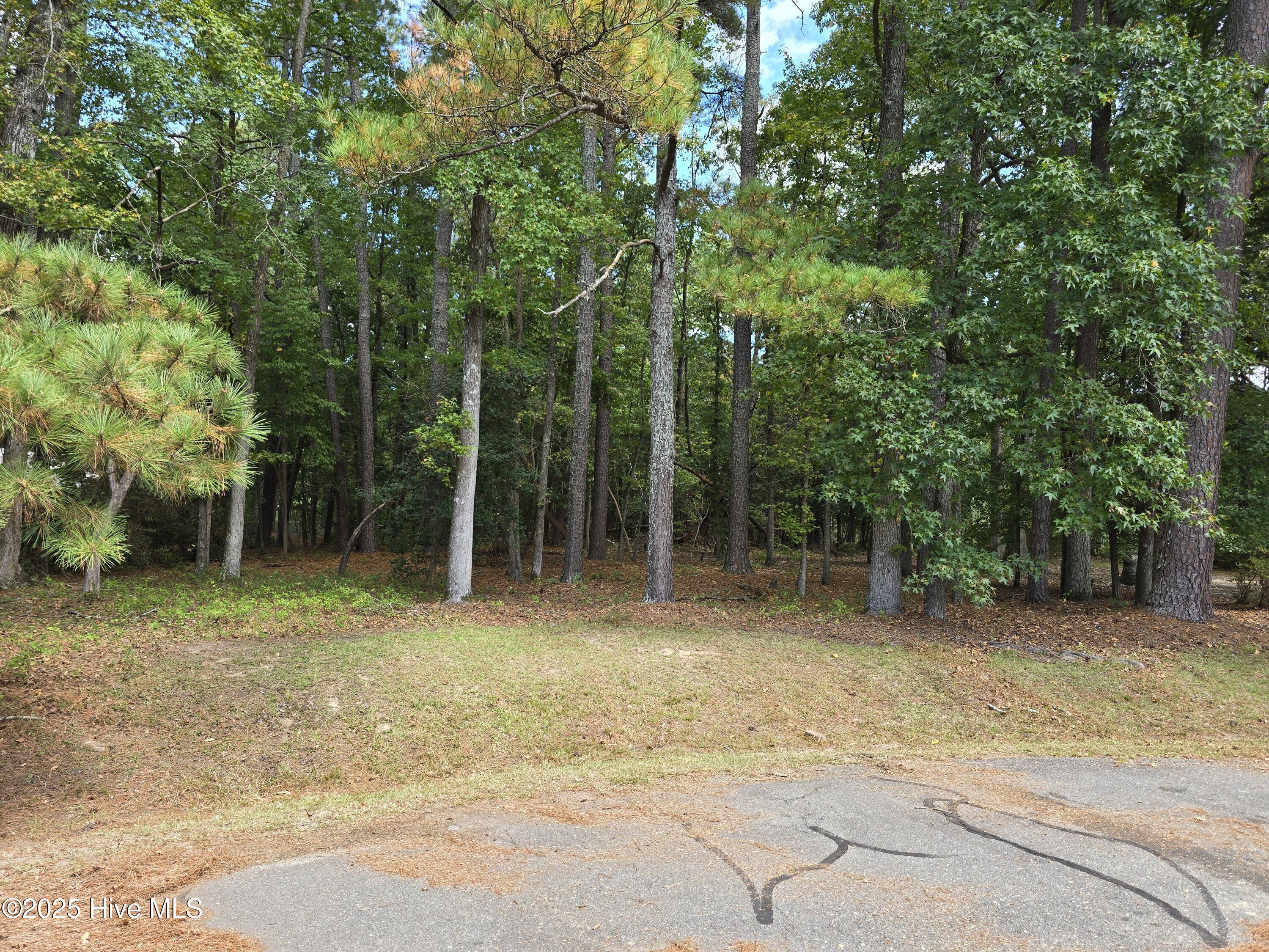 Lot 14 Nw Pony Circle Property Photo 1