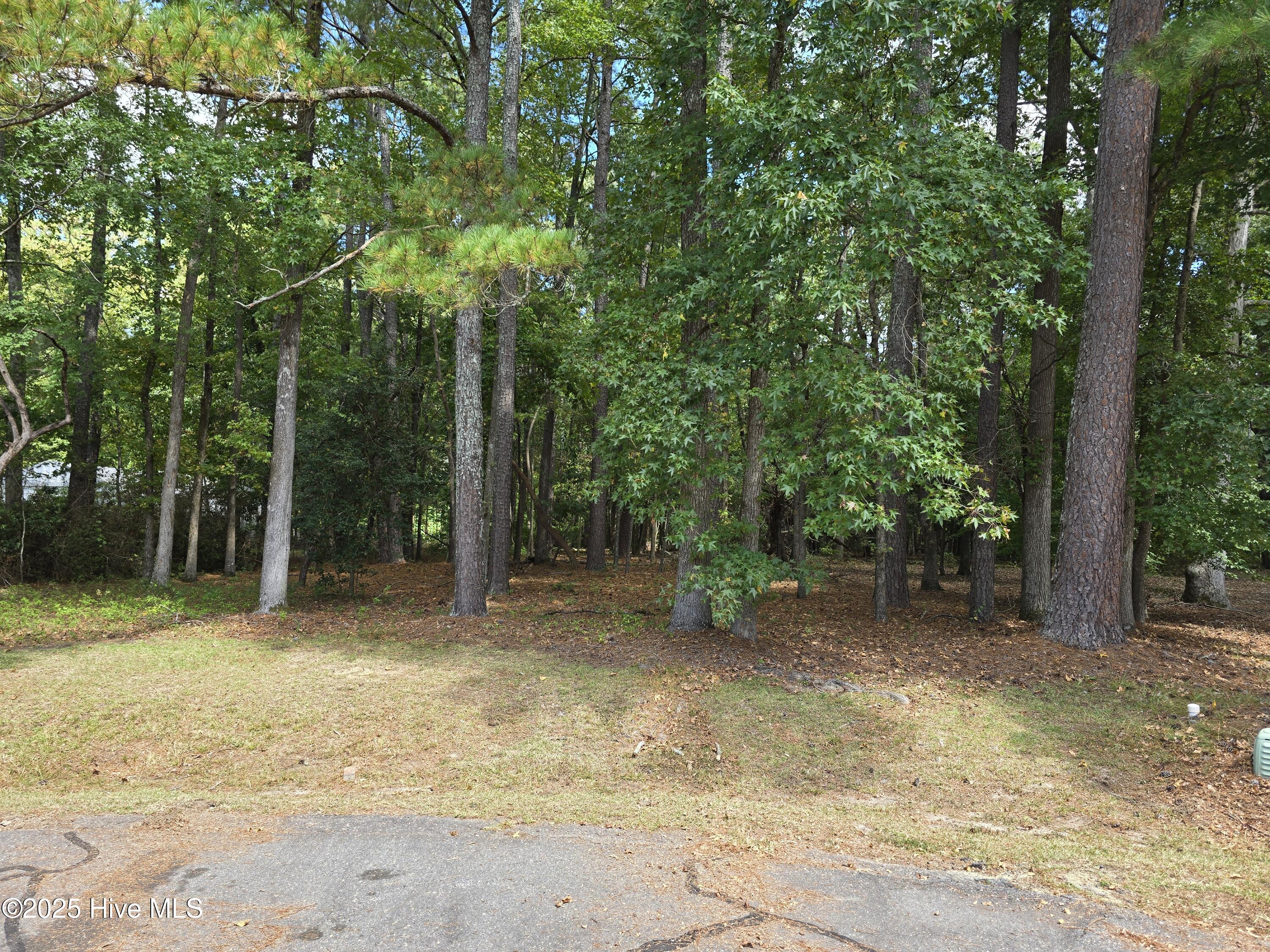Lot 14 Nw Pony Circle Property Photo 2
