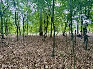 50 & 51 Chestnut Street Property Photo 2