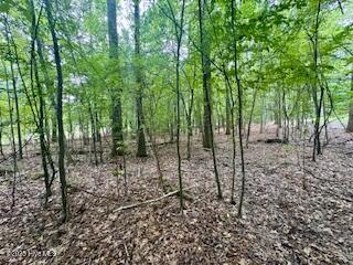 50 & 51 Chestnut Street Property Photo 3