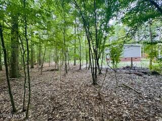 50 & 51 Chestnut Street Property Photo 4