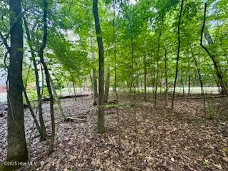 50 & 51 Chestnut Street Property Photo 5