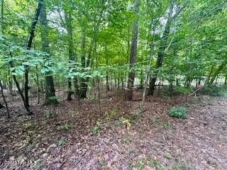 50 & 51 Chestnut Street Property Photo 6