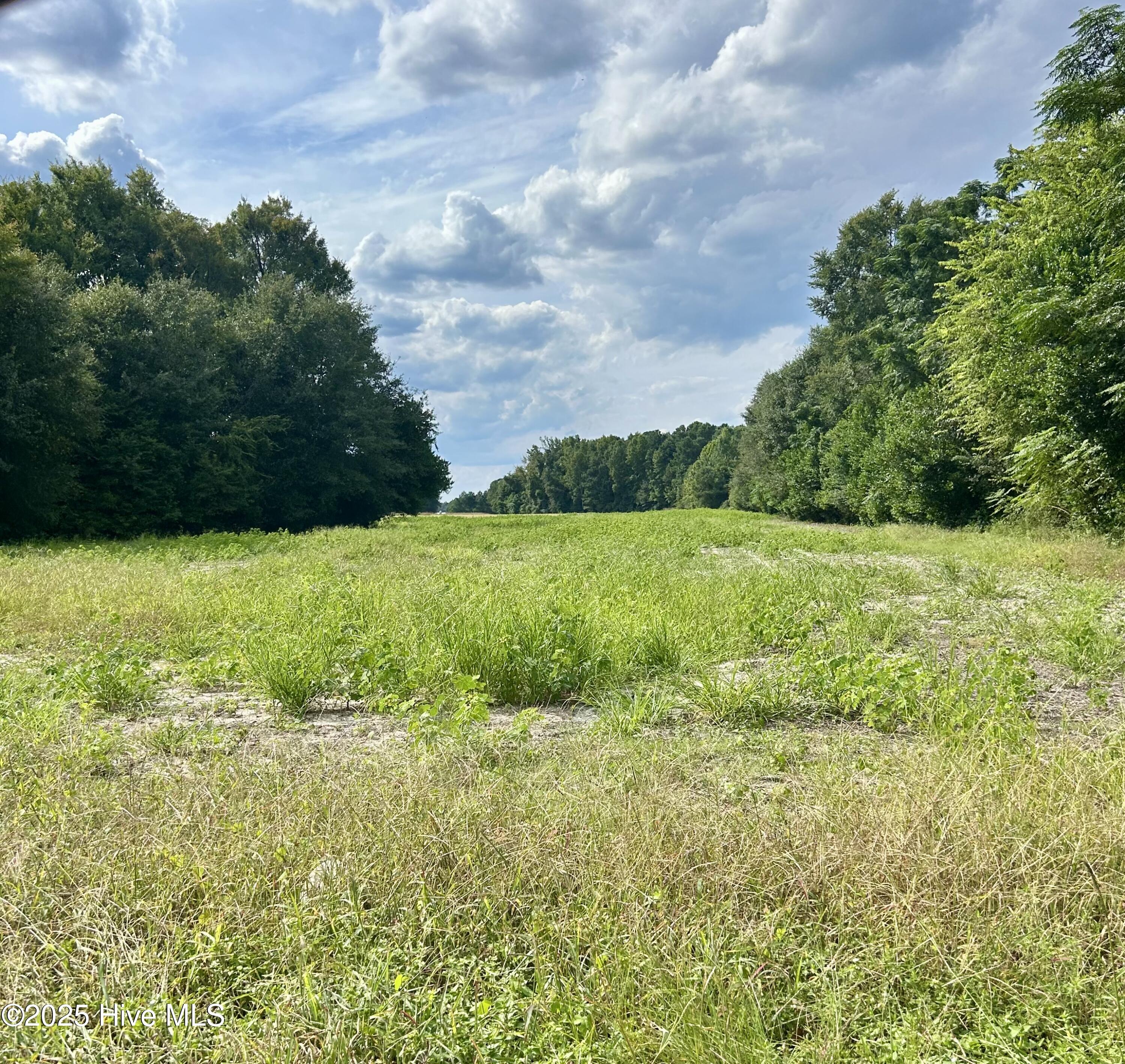 Tr #2 Mcqueen Road Property Photo 1