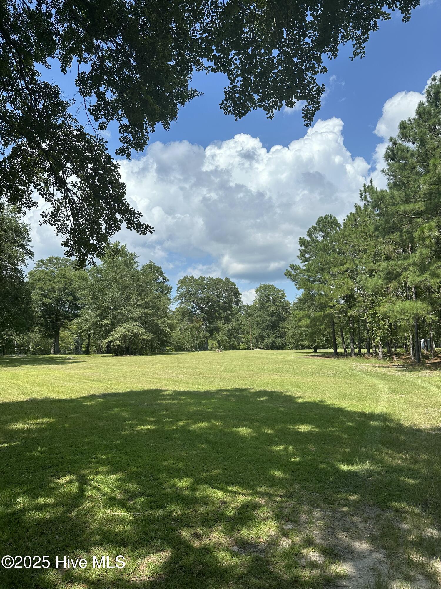 250 Long Bluff Road Property Photo 6