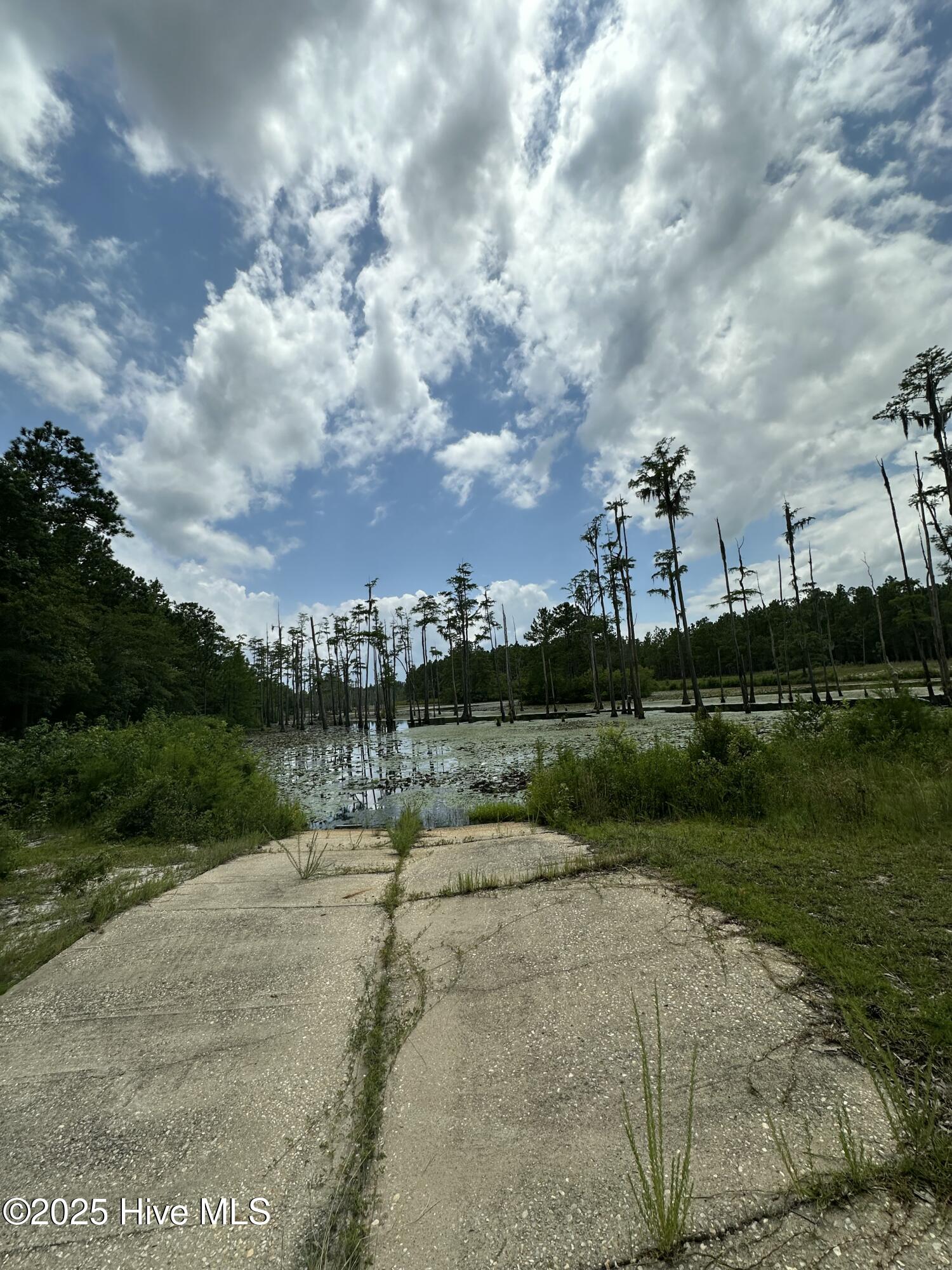 250 Long Bluff Road Property Photo 13