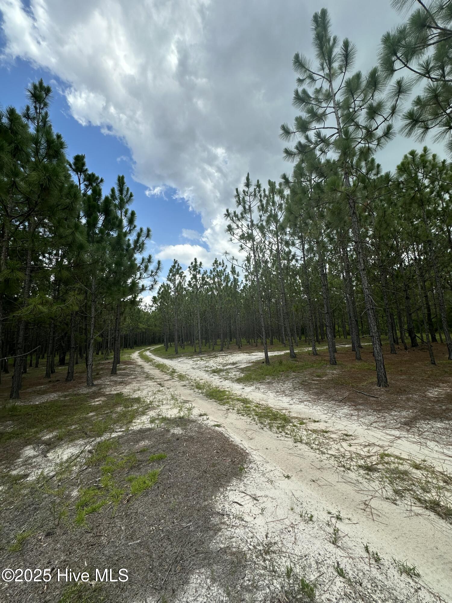 250 Long Bluff Road Property Photo 16