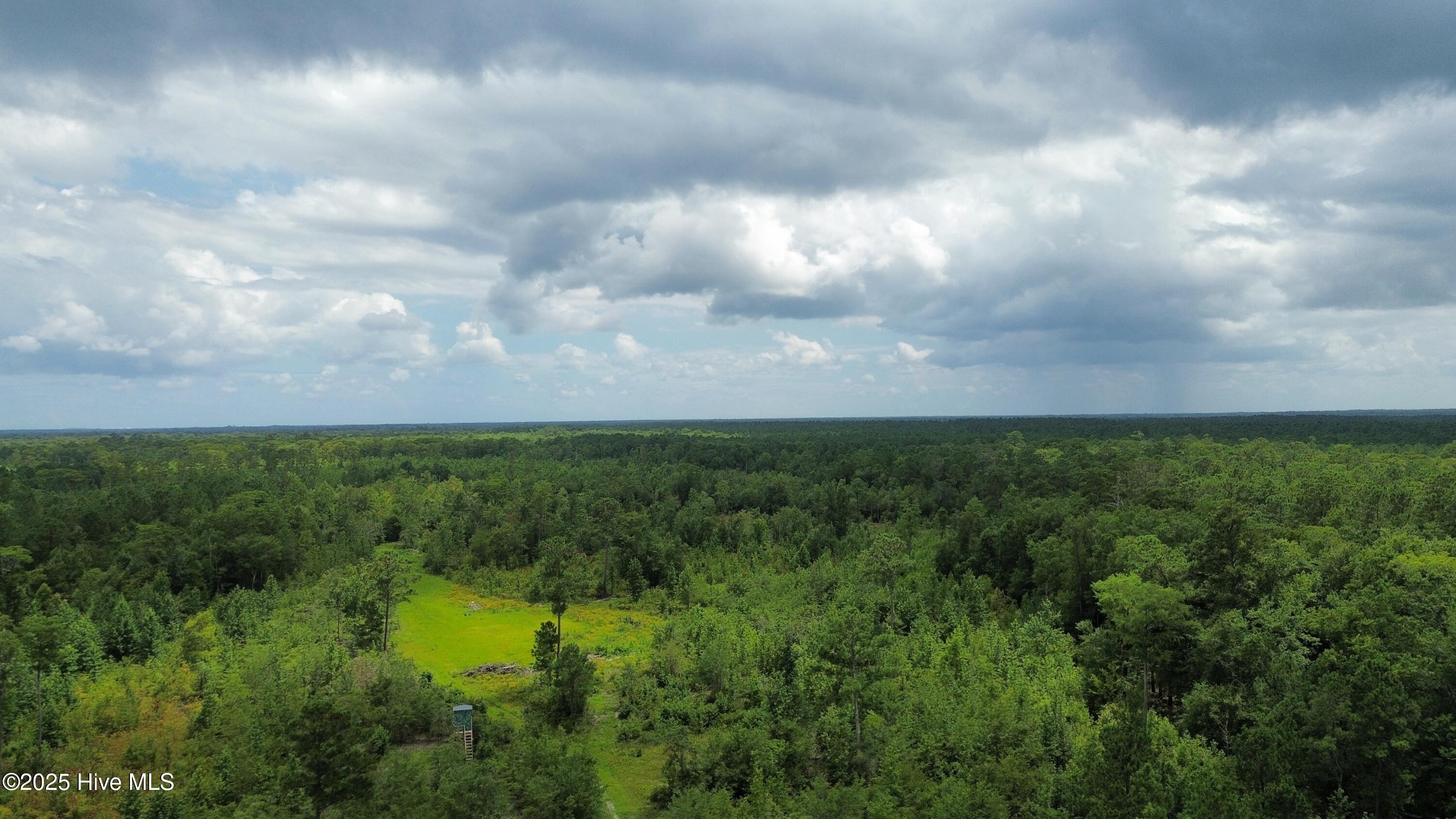 250 Long Bluff Road Property Photo 18