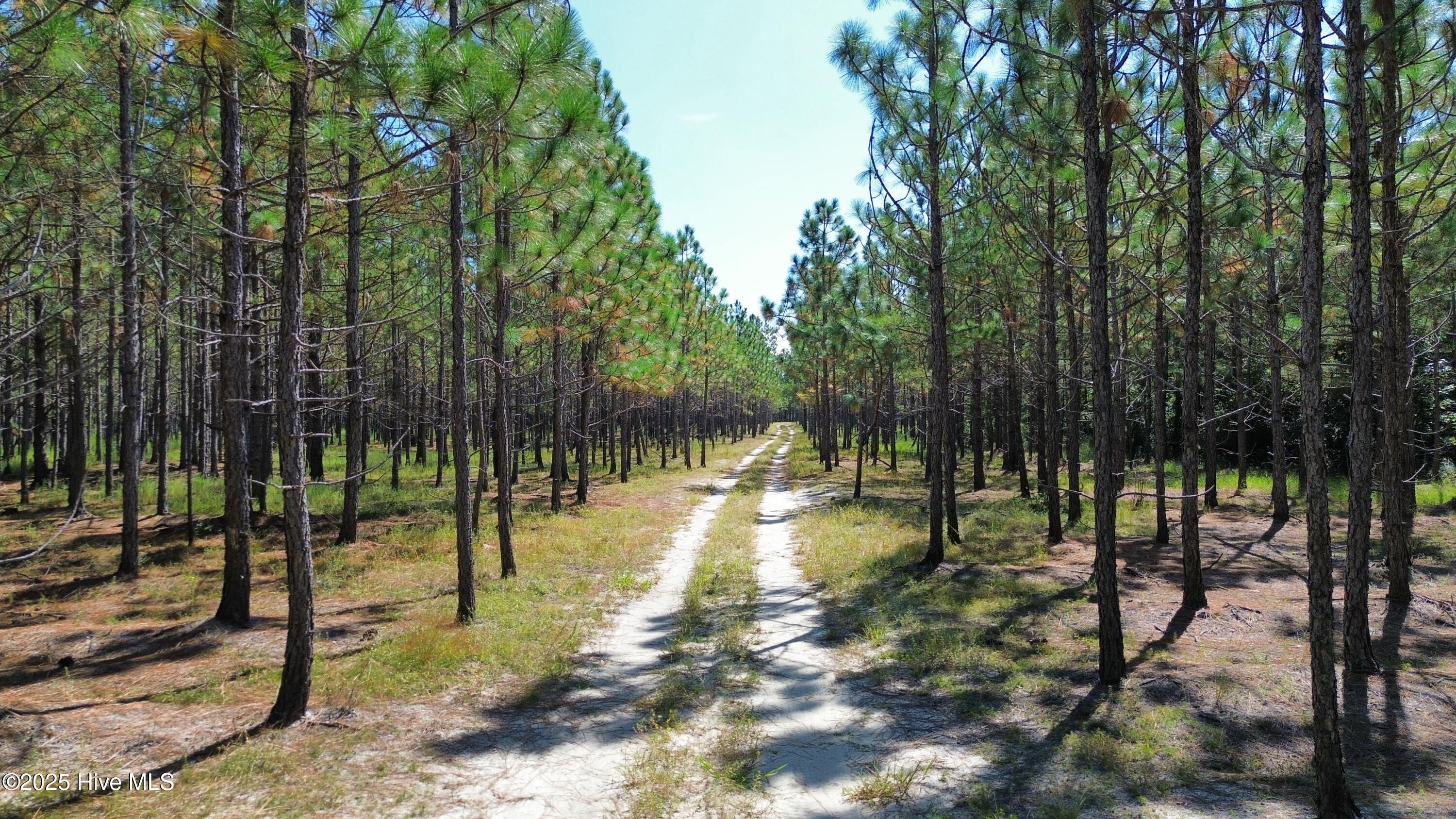 250 Long Bluff Road Property Photo 19