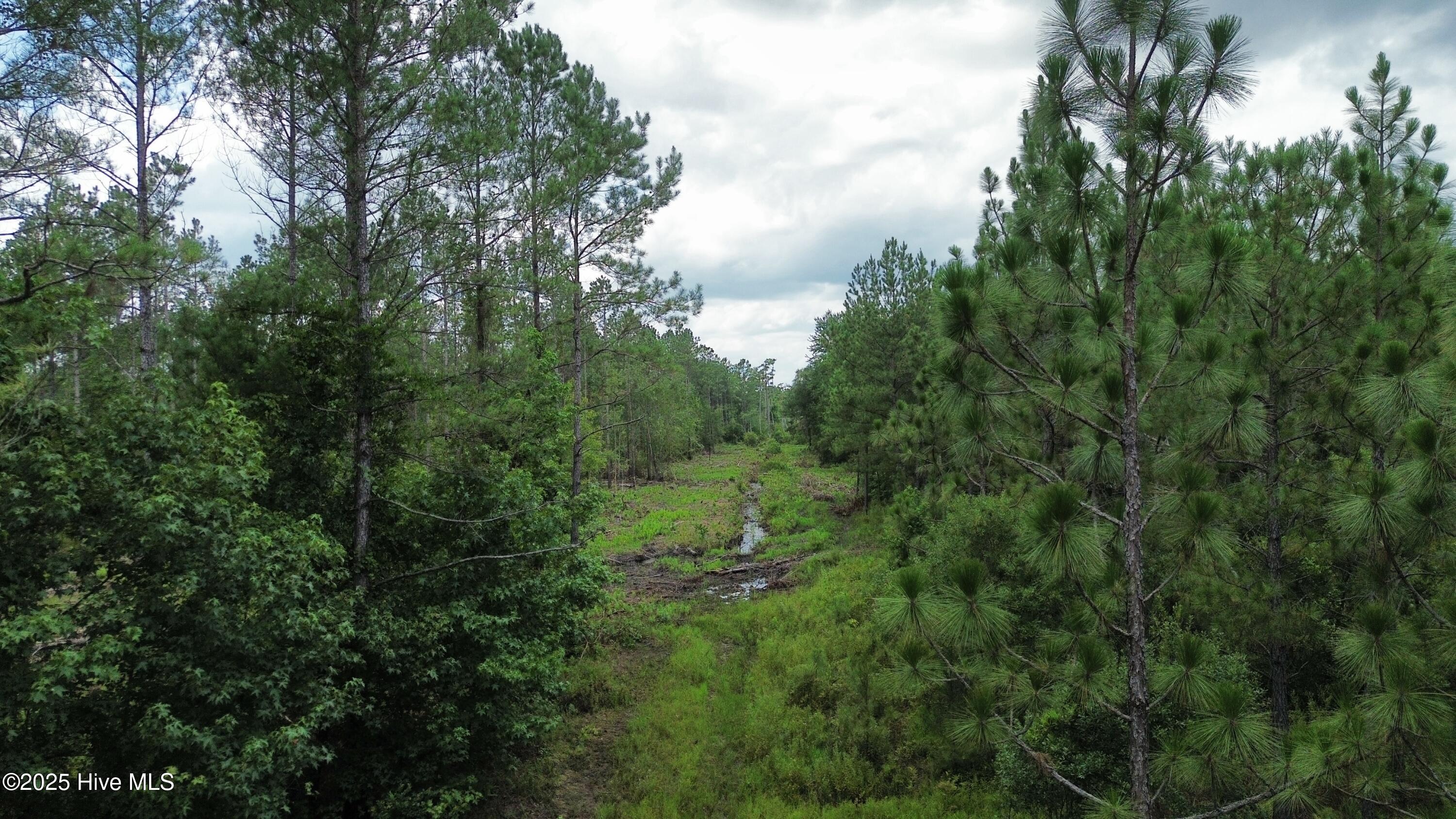 250 Long Bluff Road Property Photo 20