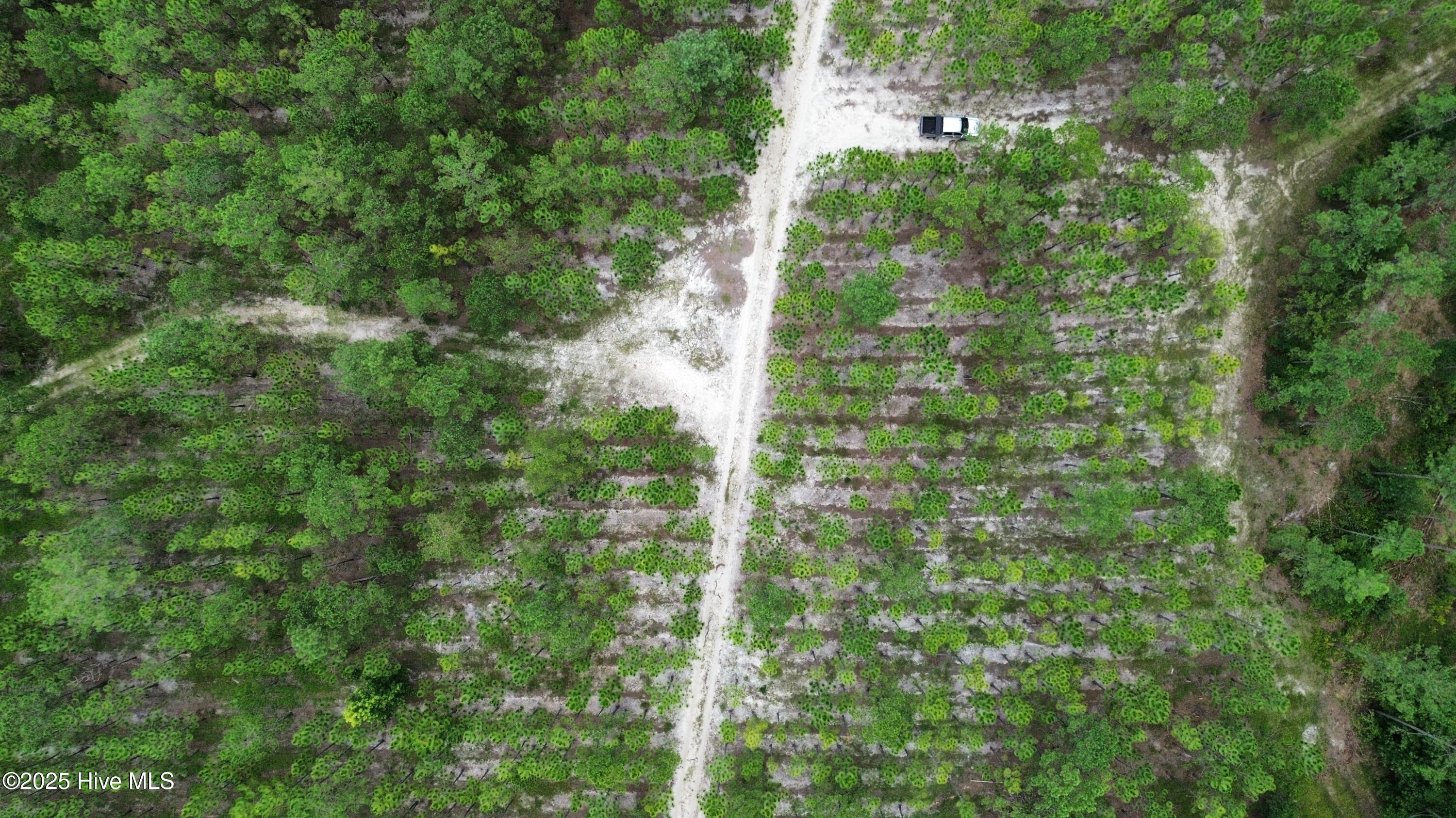 250 Long Bluff Road Property Photo 21