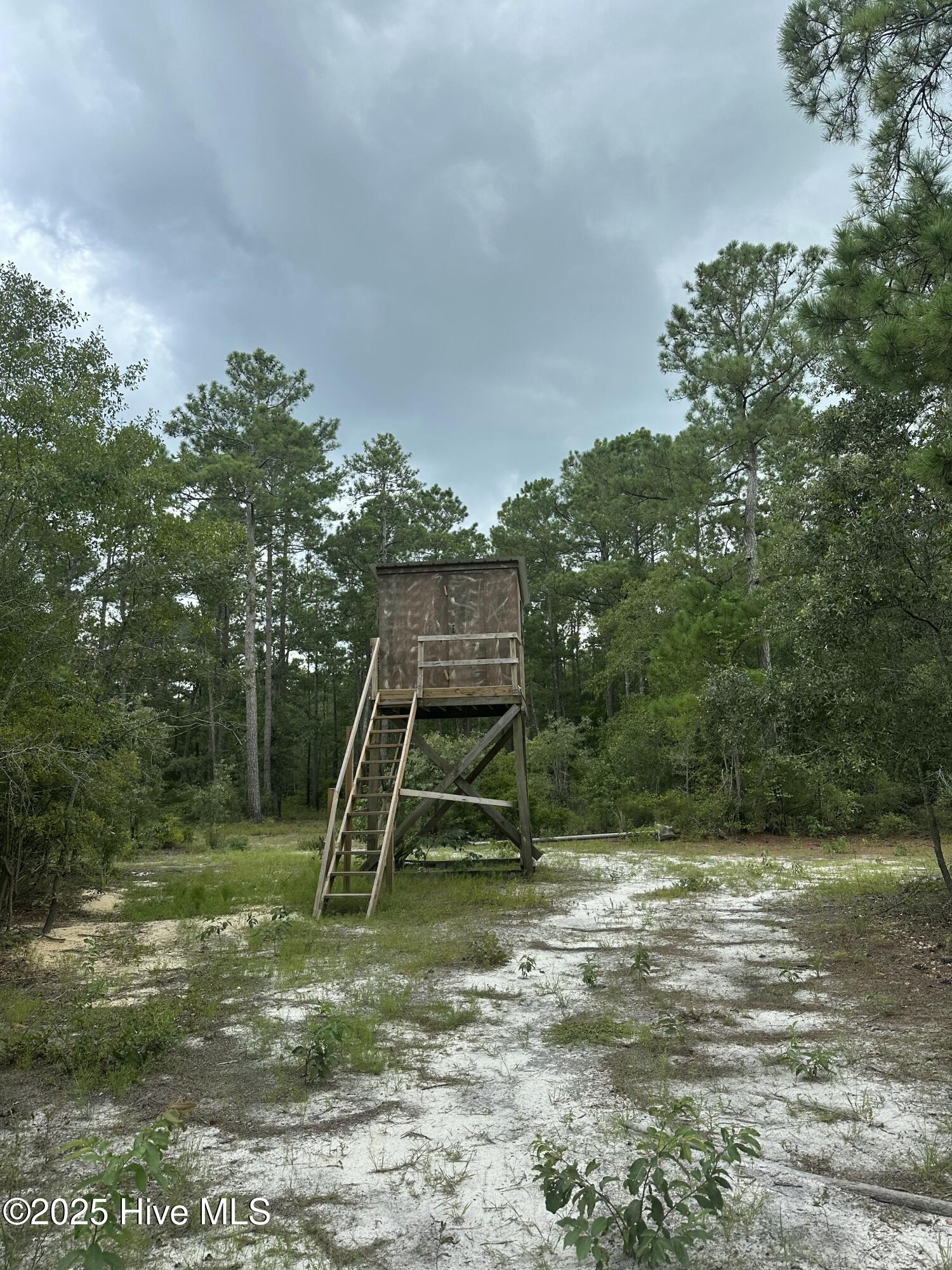 250 Long Bluff Road Property Photo 22