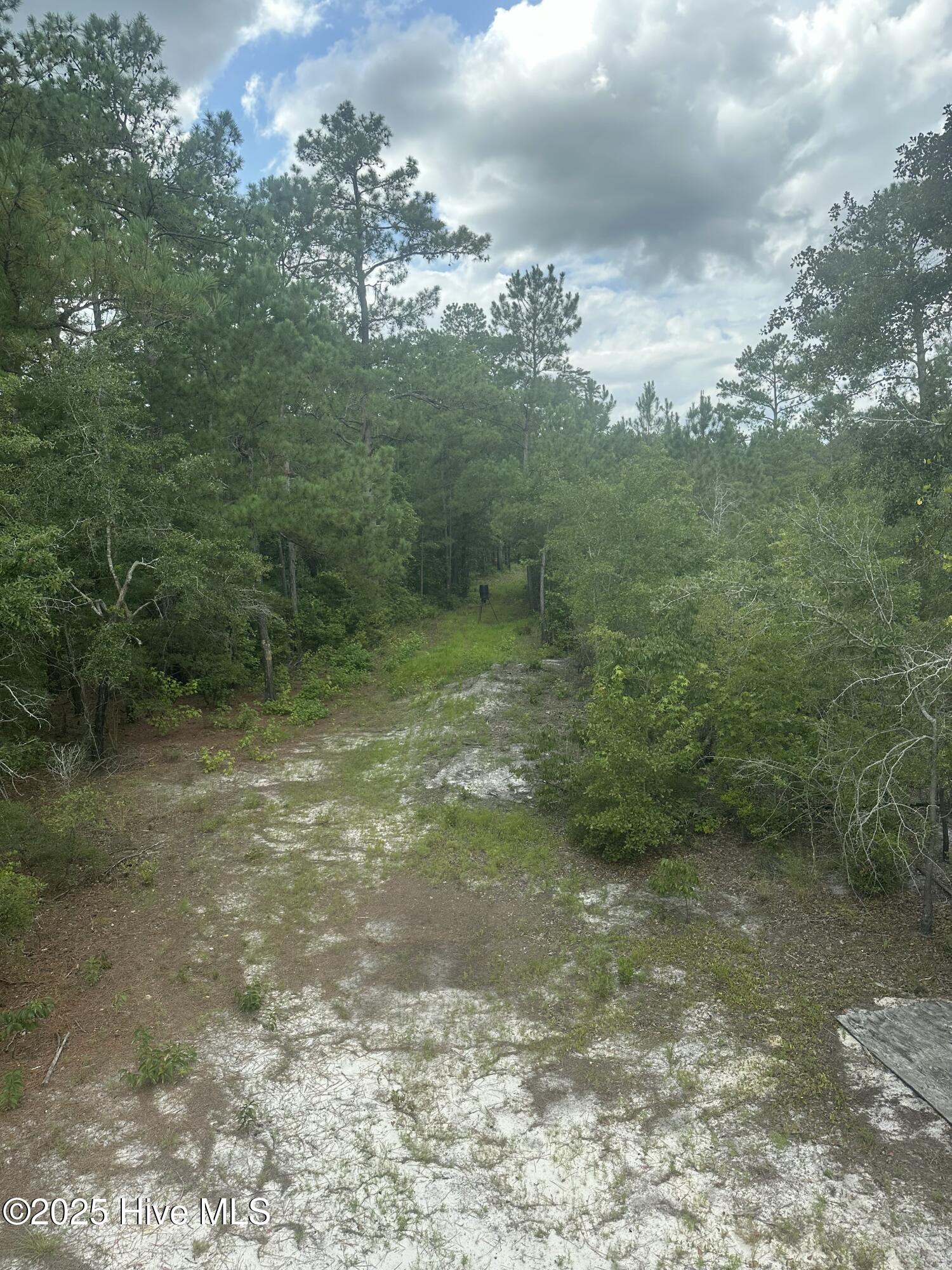 250 Long Bluff Road Property Photo 23