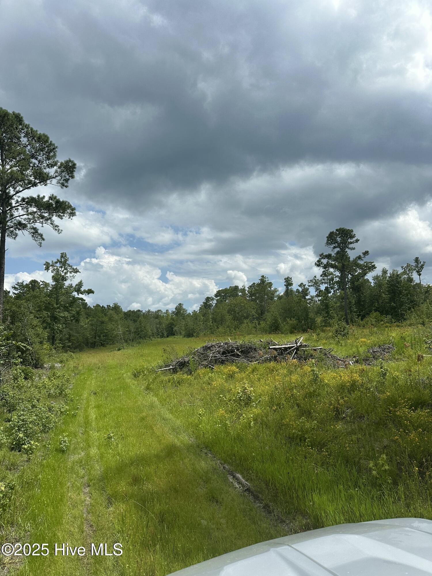 250 Long Bluff Road Property Photo 25