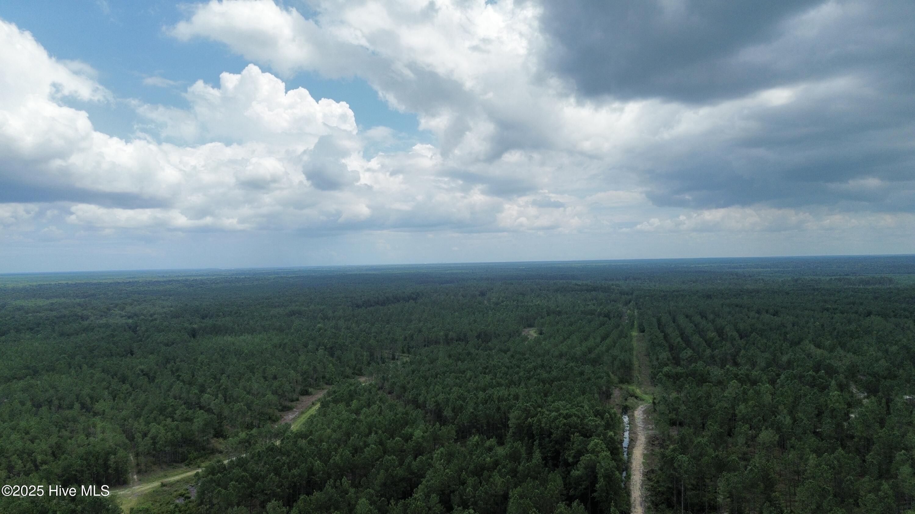 250 Long Bluff Road Property Photo 26