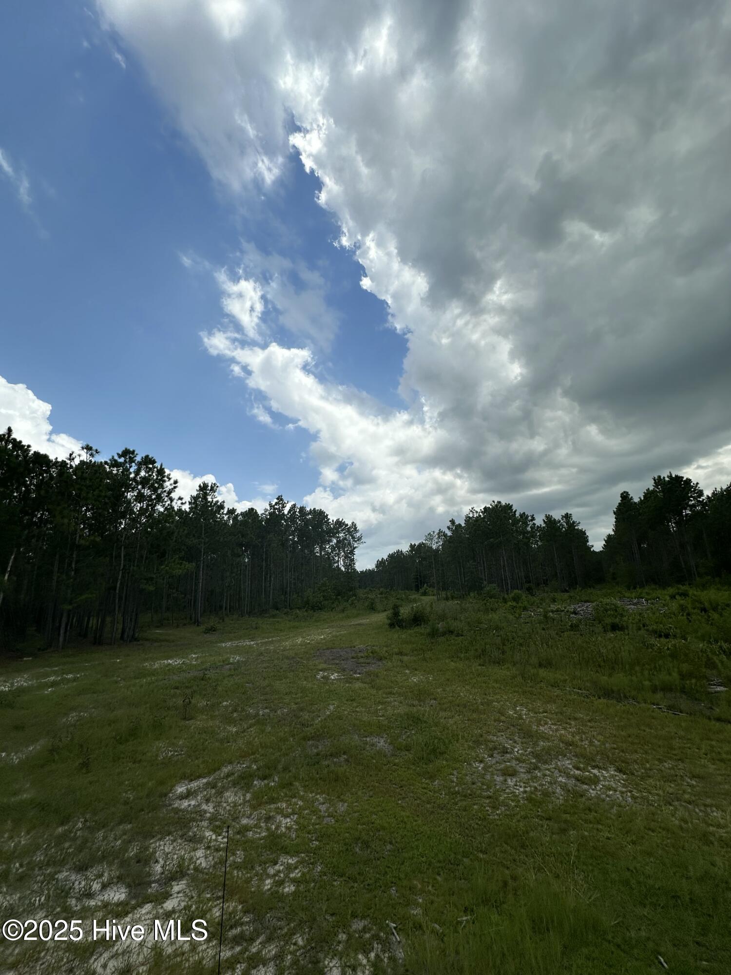 250 Long Bluff Road Property Photo 29