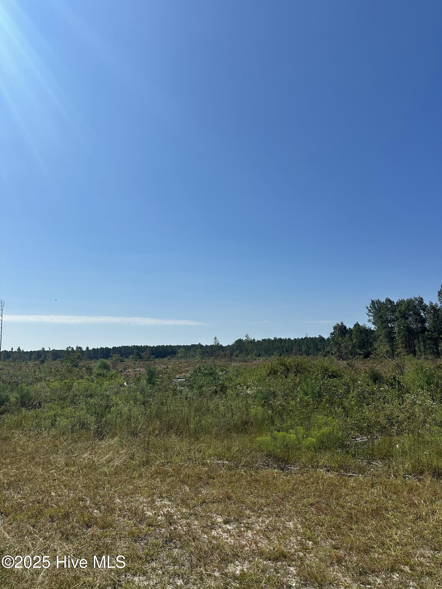 250 Long Bluff Road Property Photo 32