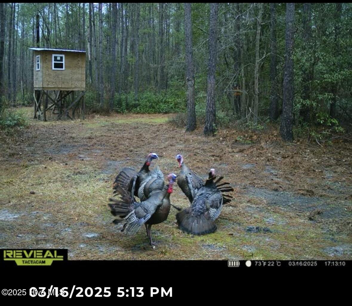 250 Long Bluff Road Property Photo 41