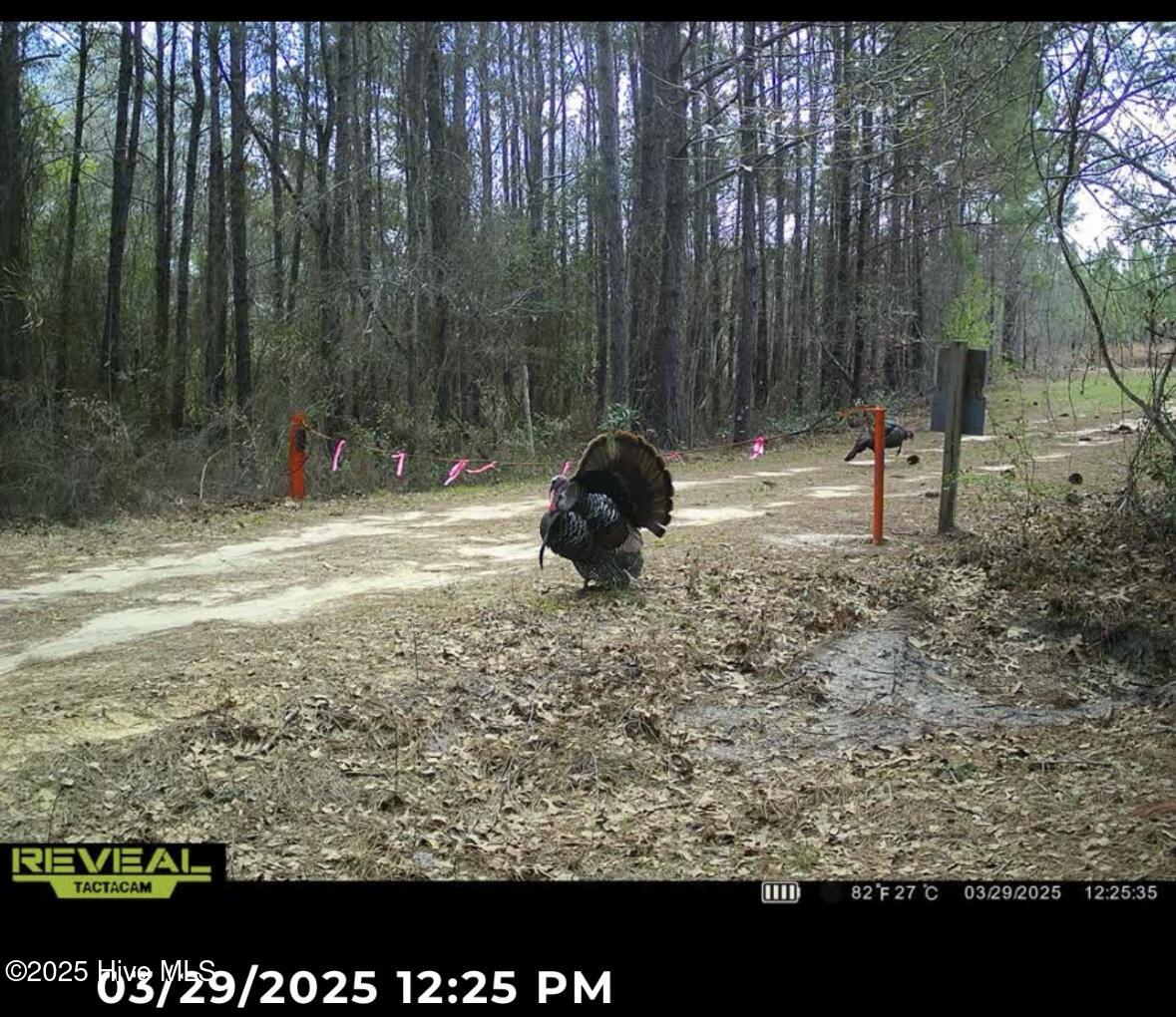 250 Long Bluff Road Property Photo 42