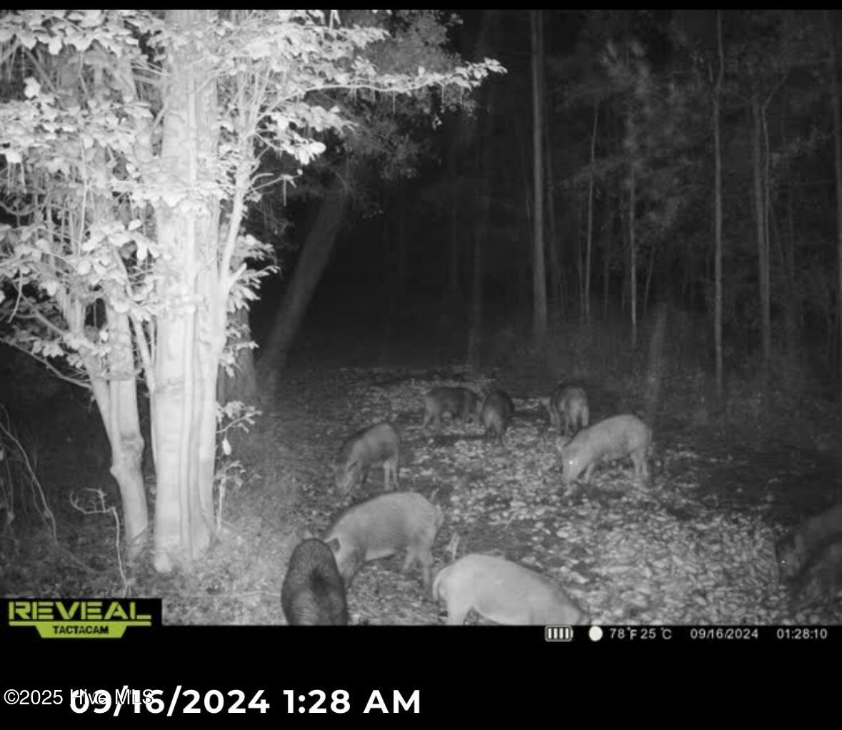 250 Long Bluff Road Property Photo 44