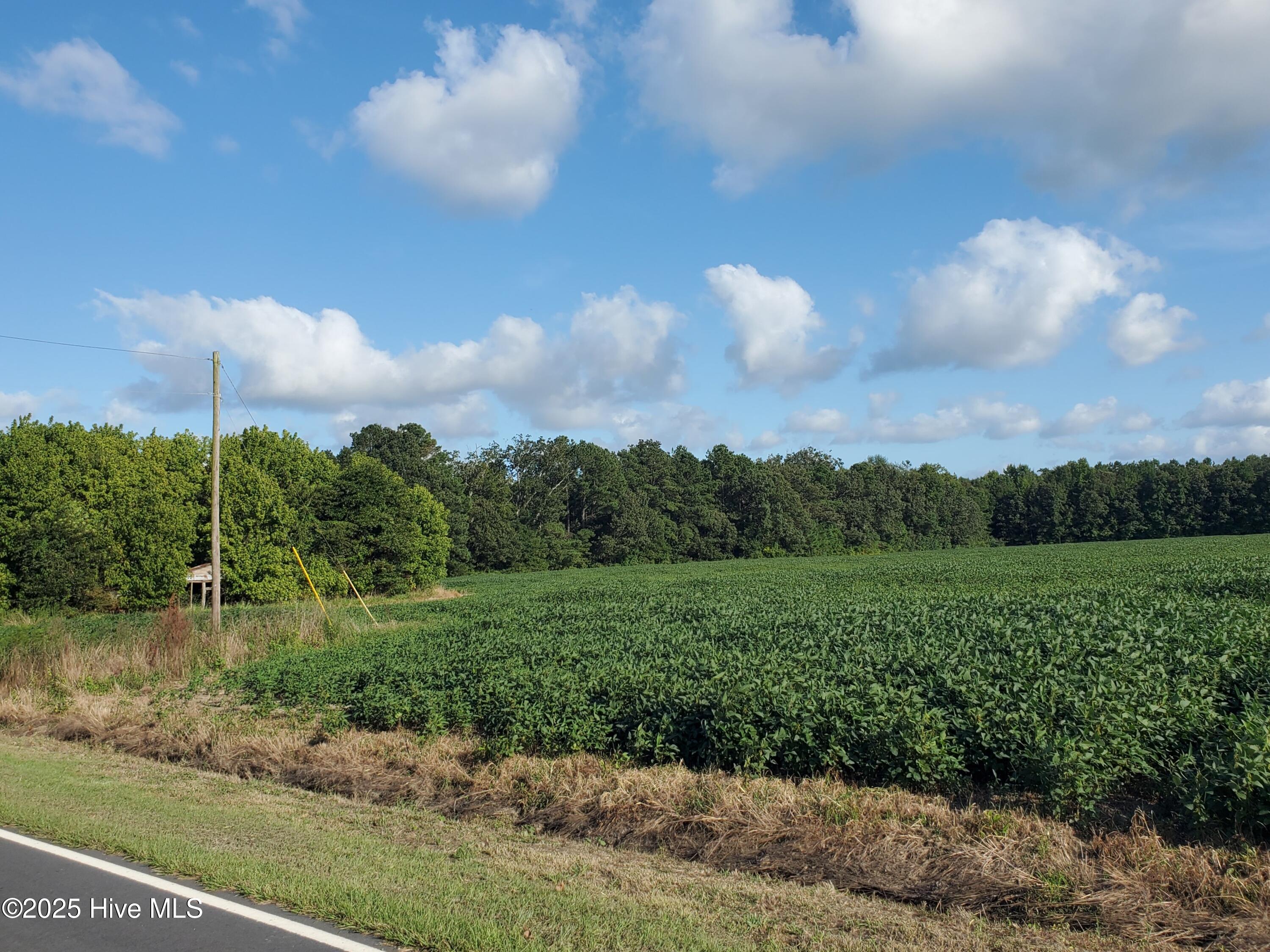 00000 Deep Creek Road Property Photo 3