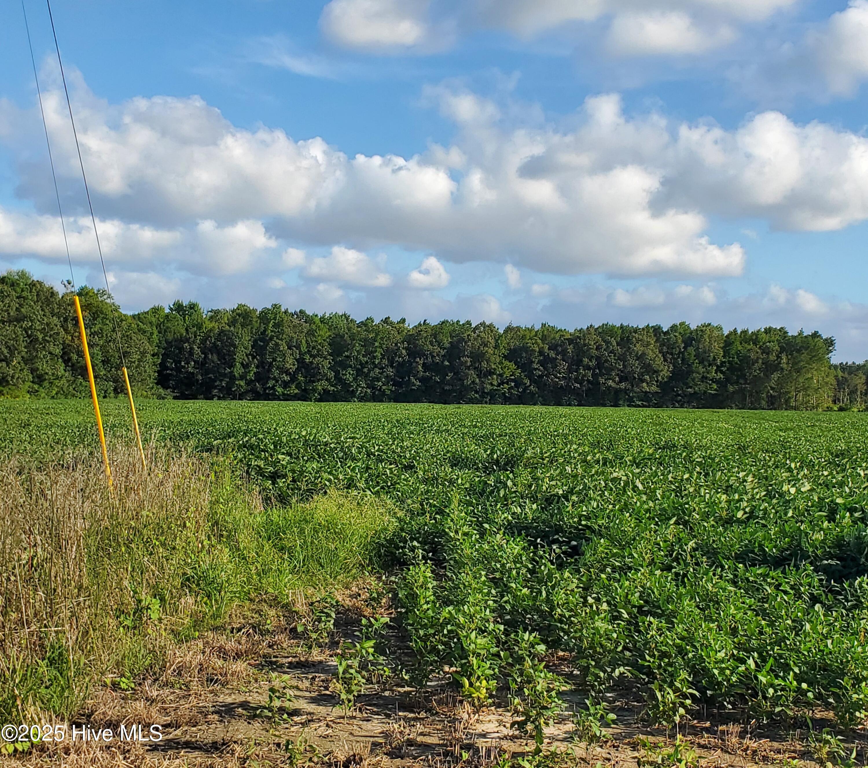 00000 Deep Creek Road Property Photo 4