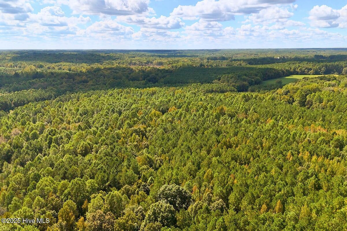 0 Bissette Road Property Photo 10