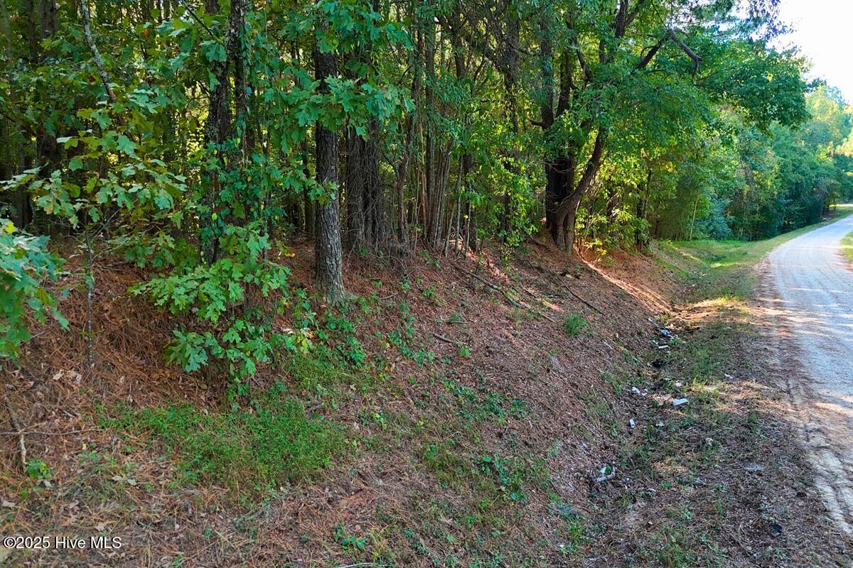 0 Bissette Road Property Photo 12