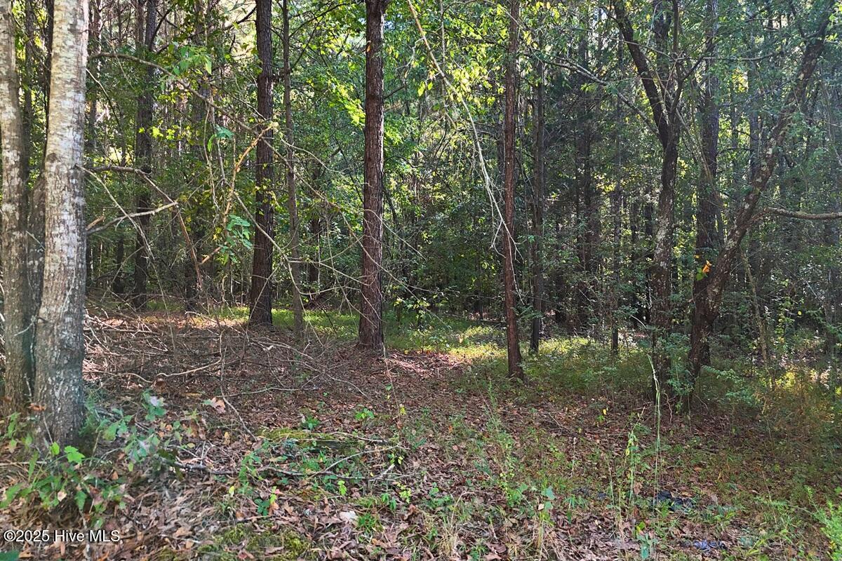 0 Bissette Road Property Photo 25