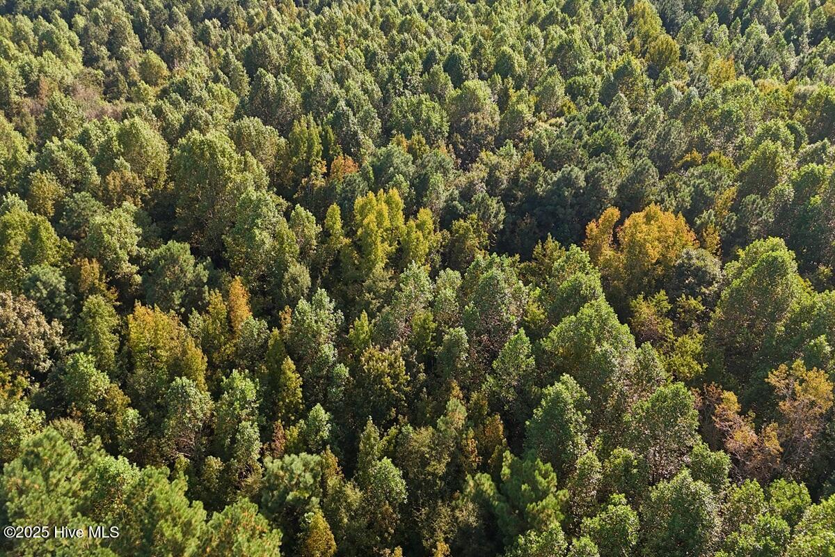 0 Bissette Road Property Photo 26